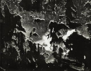 Minor White - Resurrection (Peeled Paint On Window, Jackson Street, Produce Area, San Francisco)