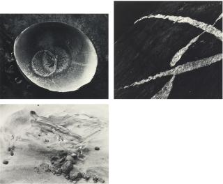 Minor White - Selected Images