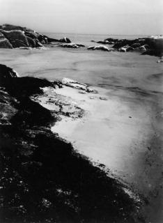 Minor White - Tale of Peter Rosen Gould