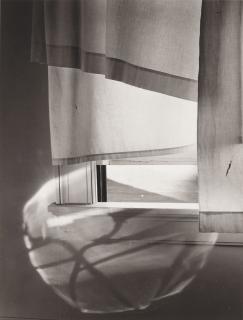 Minor White - Windowsill Daydreaming, Rochester, New York, July, 1958