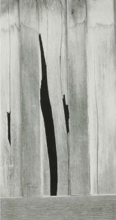 Minor White - Wood Grain, 1957