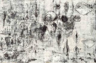 Miquel Barceló - Des Coquilles Vides (Empty Shells)