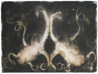 Miquel Barceló - Doble Coleoidea 6