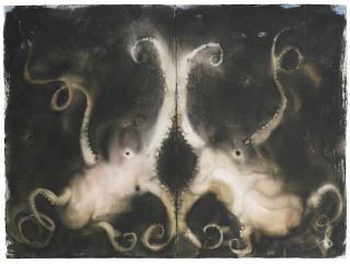 Miquel Barceló - Doble Coleoidea 6