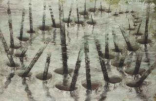 Miquel Barcelo - Exercicis d\'optica