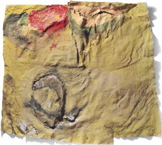 Miquel Barceló - Les Poissons de terre (The Fish of the Earth)