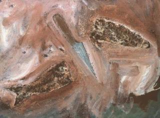 Miquel Barceló - Pesce in due Parti