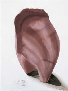 Miquel Navarro - Mater fósil