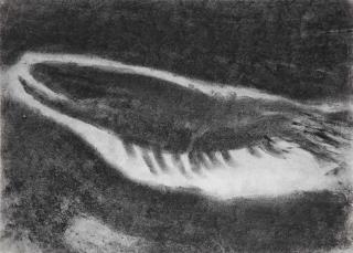 Miriam Cahn - Tiere Sterben