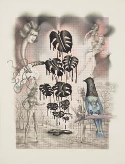 Mirka Lugosi - Sans titre