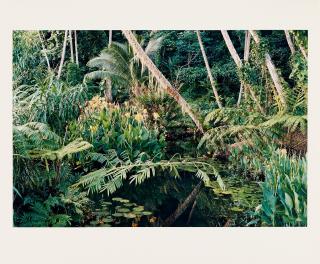 Mitch Epstein - »Maara, Tahiti«