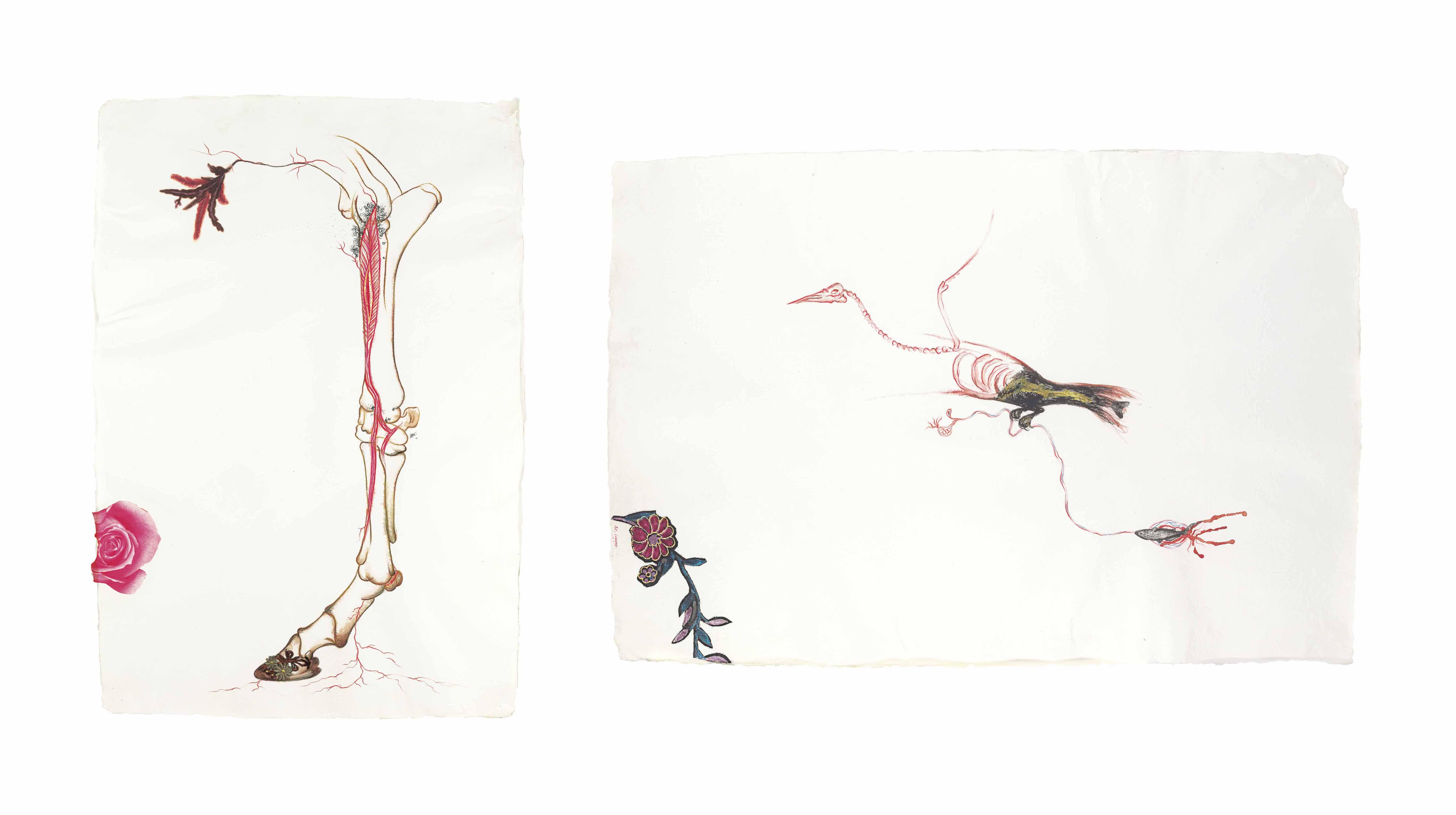 Mithu Sen - Untitled