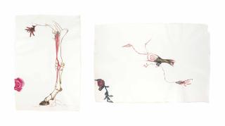 Mithu Sen - Untitled