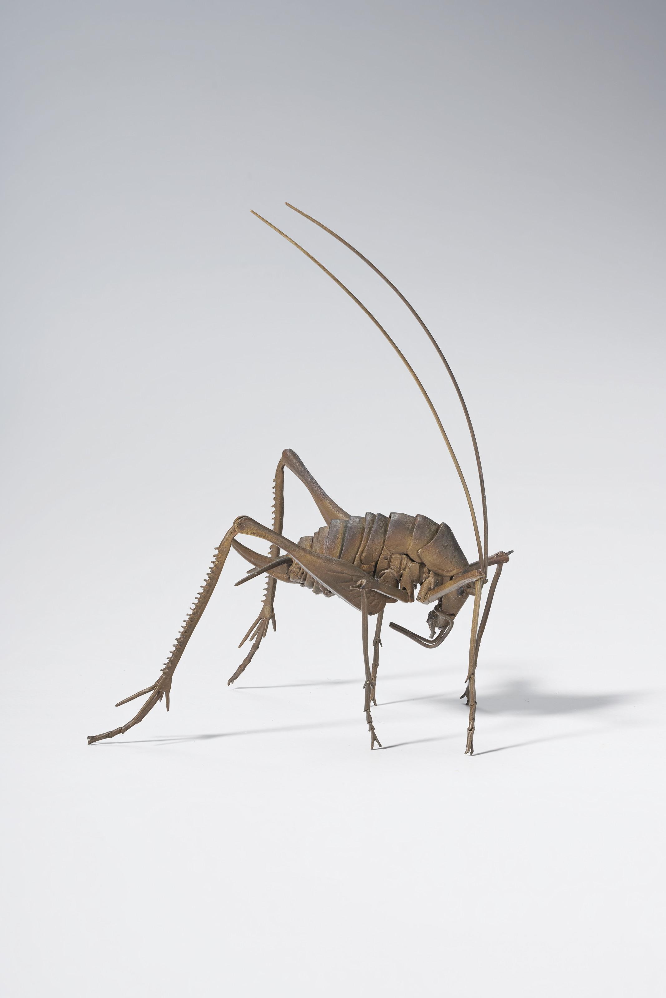 Mitsuta Haruo - Kamadouma (Diestrammena Apicalis)