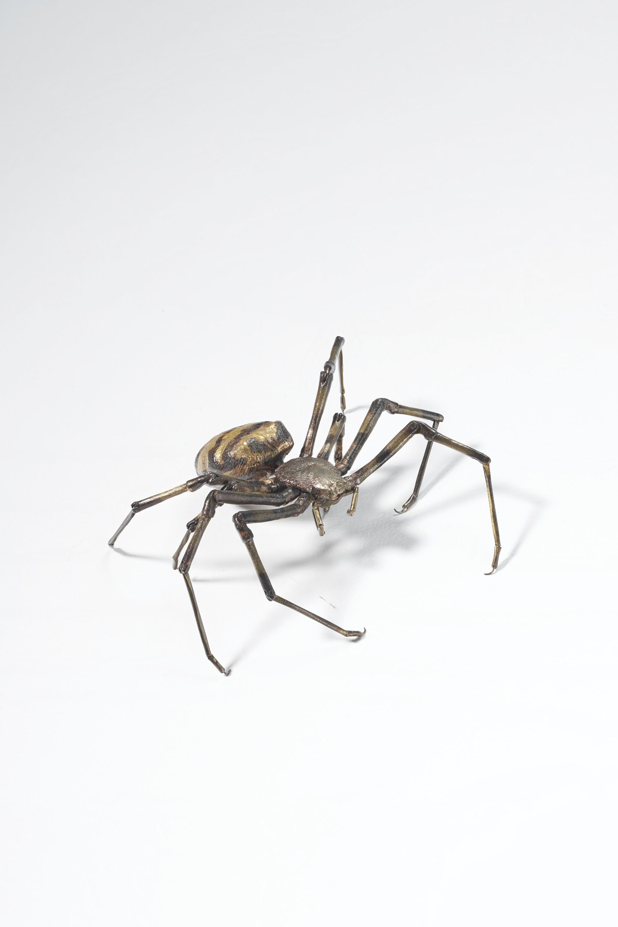 Mitsuta Haruo - Koganegumo (Argiope Amoena)