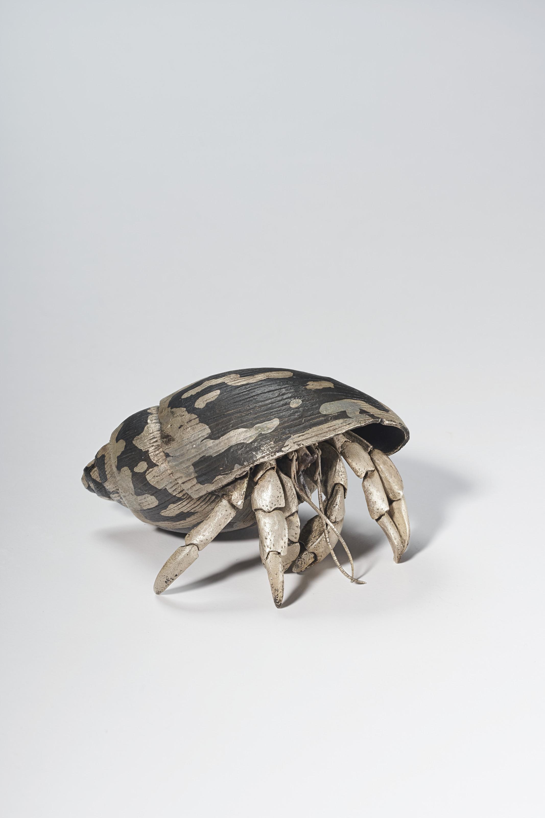 Mitsuta Haruo - Okayadokari (Coenobita)