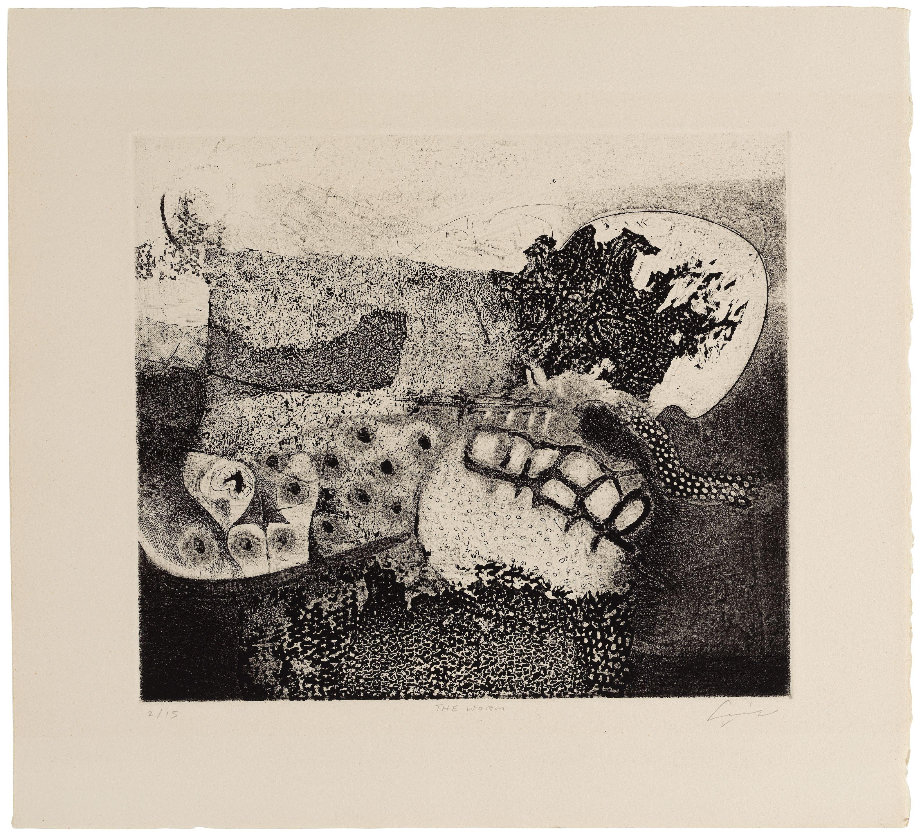 Mohammed Omar Khalil - The Worm