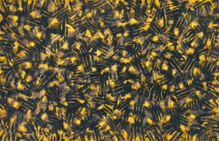 Mohsen Vaziri Moghaddam - Continuita x3