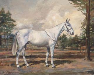 Molly Maurice Latham - Irony, a saddled grey hunter in the grounds of Druids Lodge