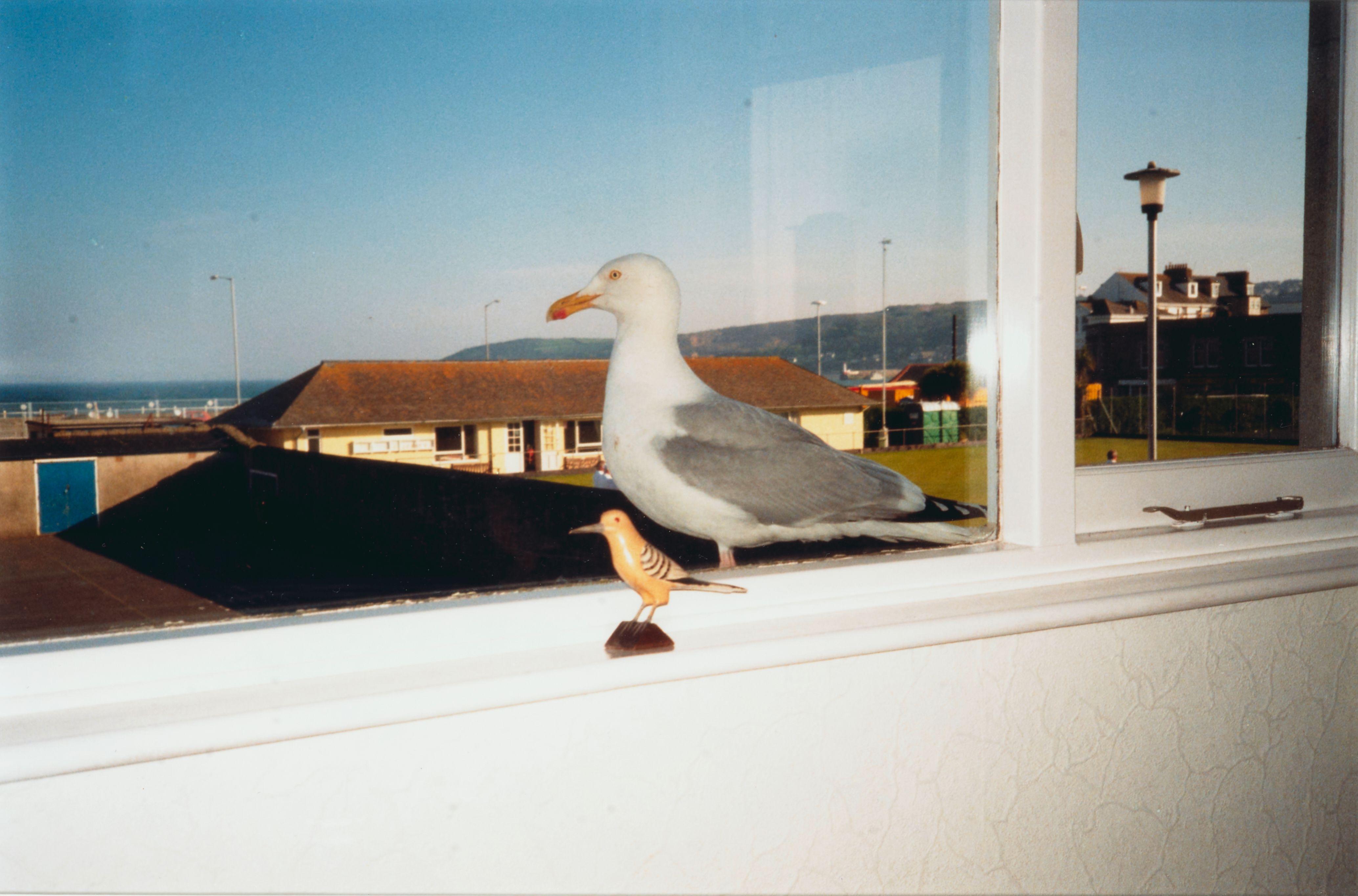 Mona Hatoum - Birds of a Feather II