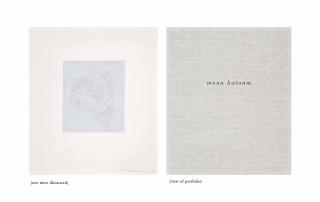 Mona Hatoum - Hair There And Everywhere