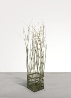 Mona Hatoum - Palestinian untitled (Willow Cage)