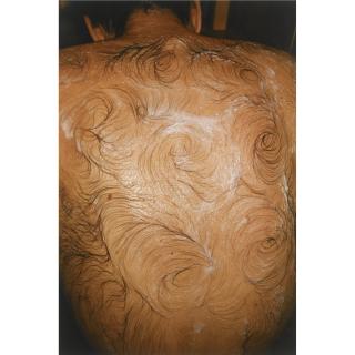 Mona Hatoum - Van Gogh\'S Back, 1995