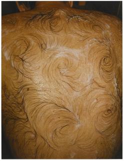 Mona Hatoum - Van Gogh\'S Back