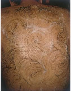 Mona Hatoum - Van Gogh\'s Back