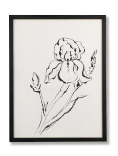 Monir Farmanfarmaian - Iris