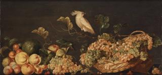 Monogramisten C. DH - Still life with fruits and a white parrot.