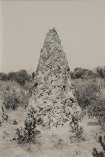 Moritz Wegwerth - Konvolut von 3 Arbeiten (Vorhang, Hand, Termitenhügel)