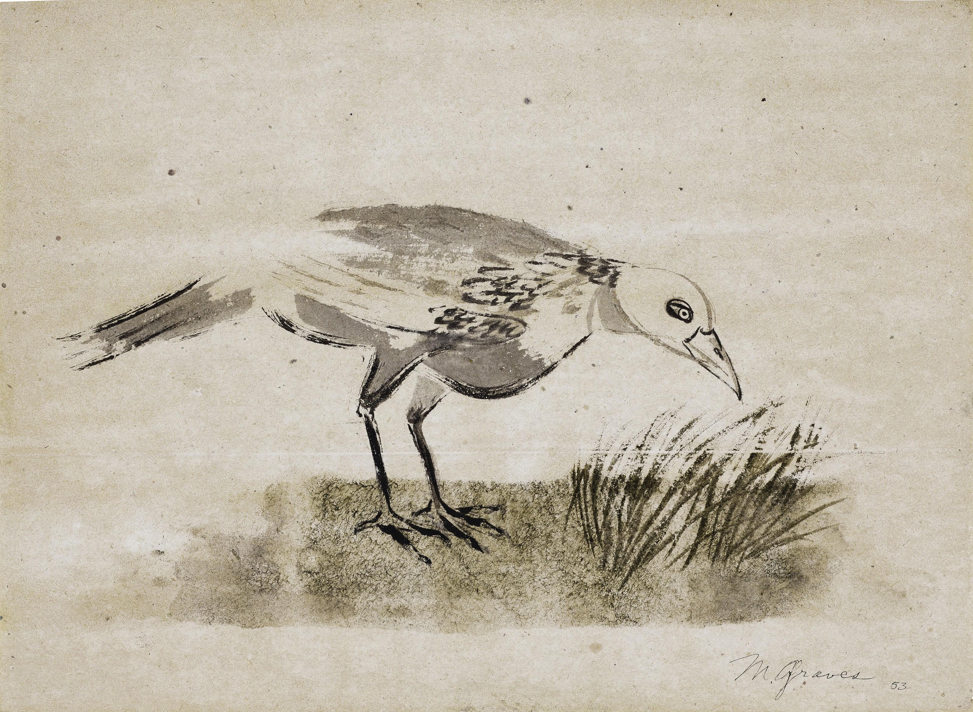 Morris Cole Graves - Bird Seeking to Nest