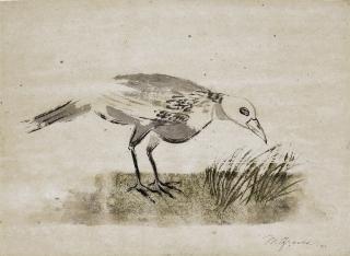 Morris Cole Graves - Bird Seeking to Nest