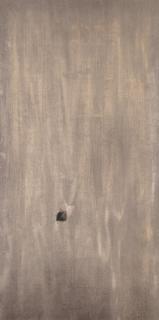 Morris Cole Graves - Feather