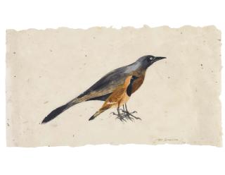 Morris Cole Graves - Mexican Birds