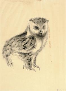 Morris Cole Graves - Owl