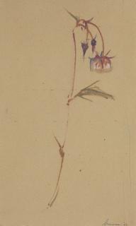 Morris Cole Graves - Tibetan (Wild Herb)