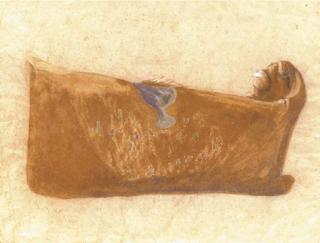 Morris Graves - Bull and Chalice