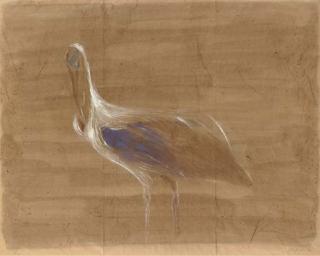Morris Graves - Ibis
