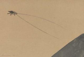 Morris Graves - Insect