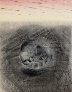 Morris Graves - Mid-Century Hibernation