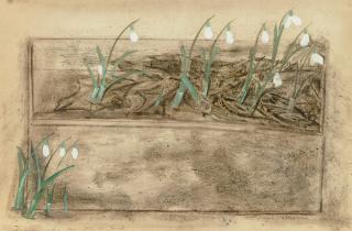 Morris Graves - Snowdrops for Al & Jack