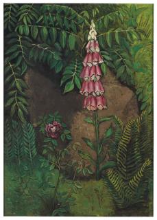 Morris Kantor - Foxglove and rose