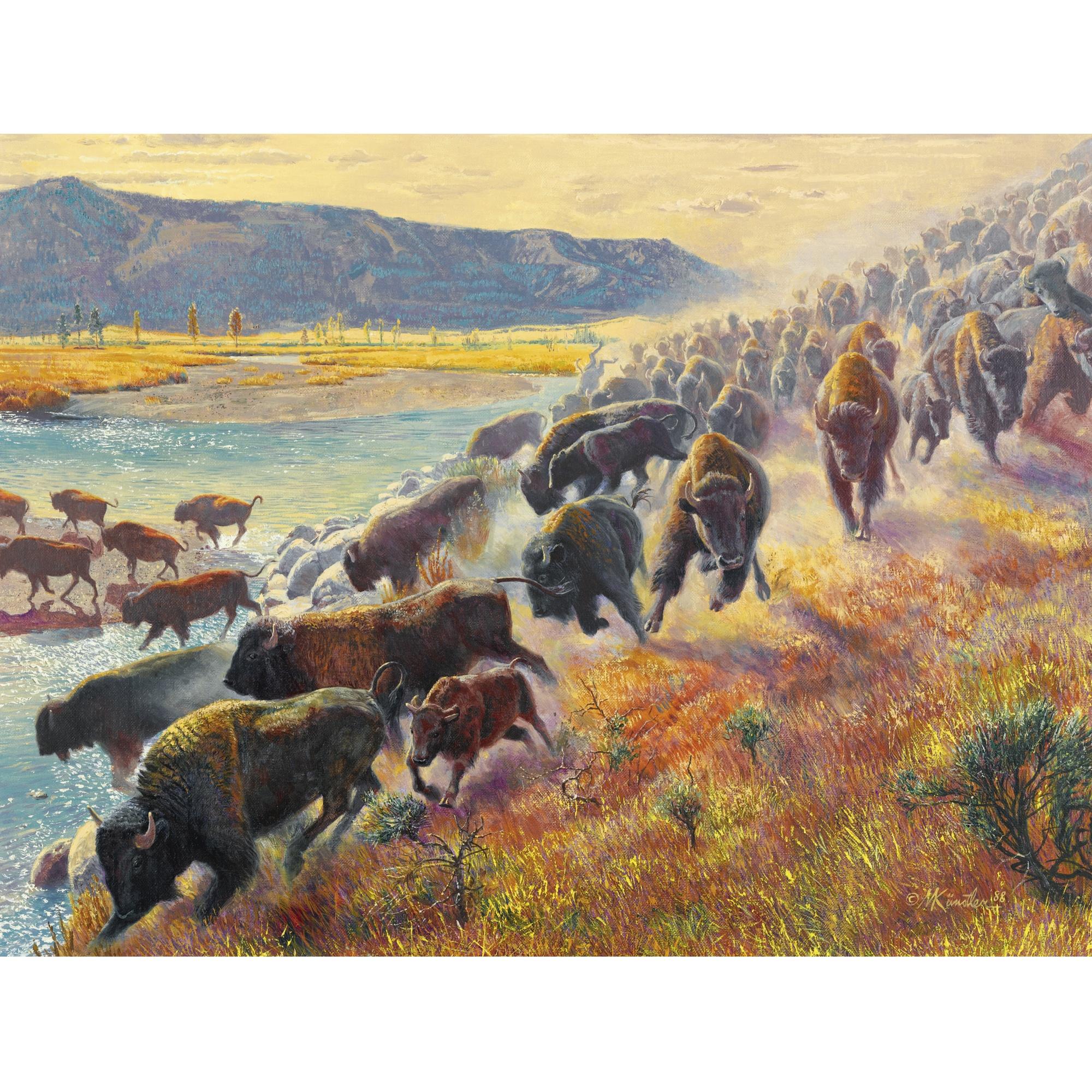 Morton Künstler - Lamar Valley, Yellowstone