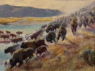 Morton Künstler - Lamar Valley, Yellowstone