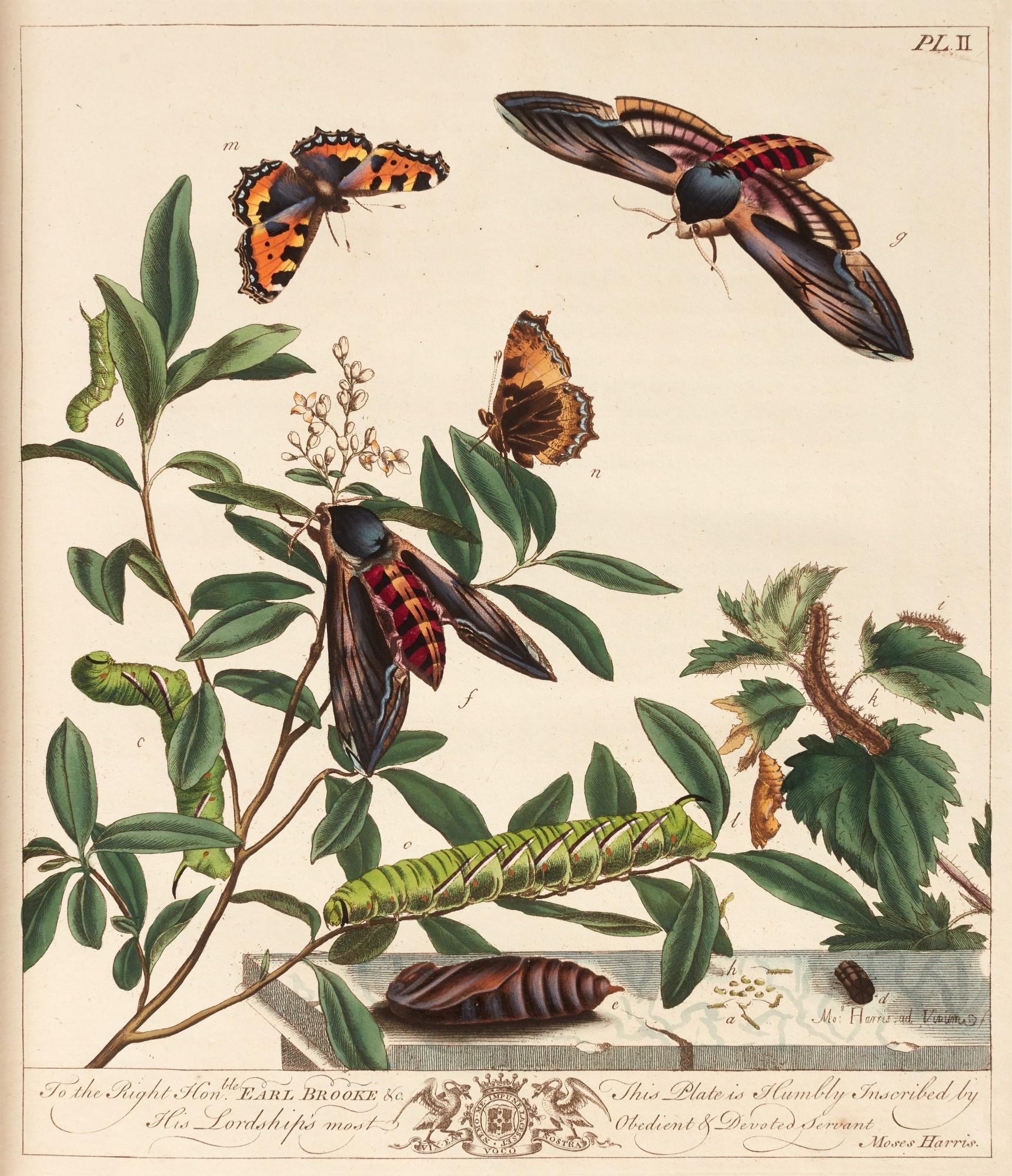 Moses Harris - L\'Aurelien, London, 1794, red morocco gilt by Staggemeier, coloured plates