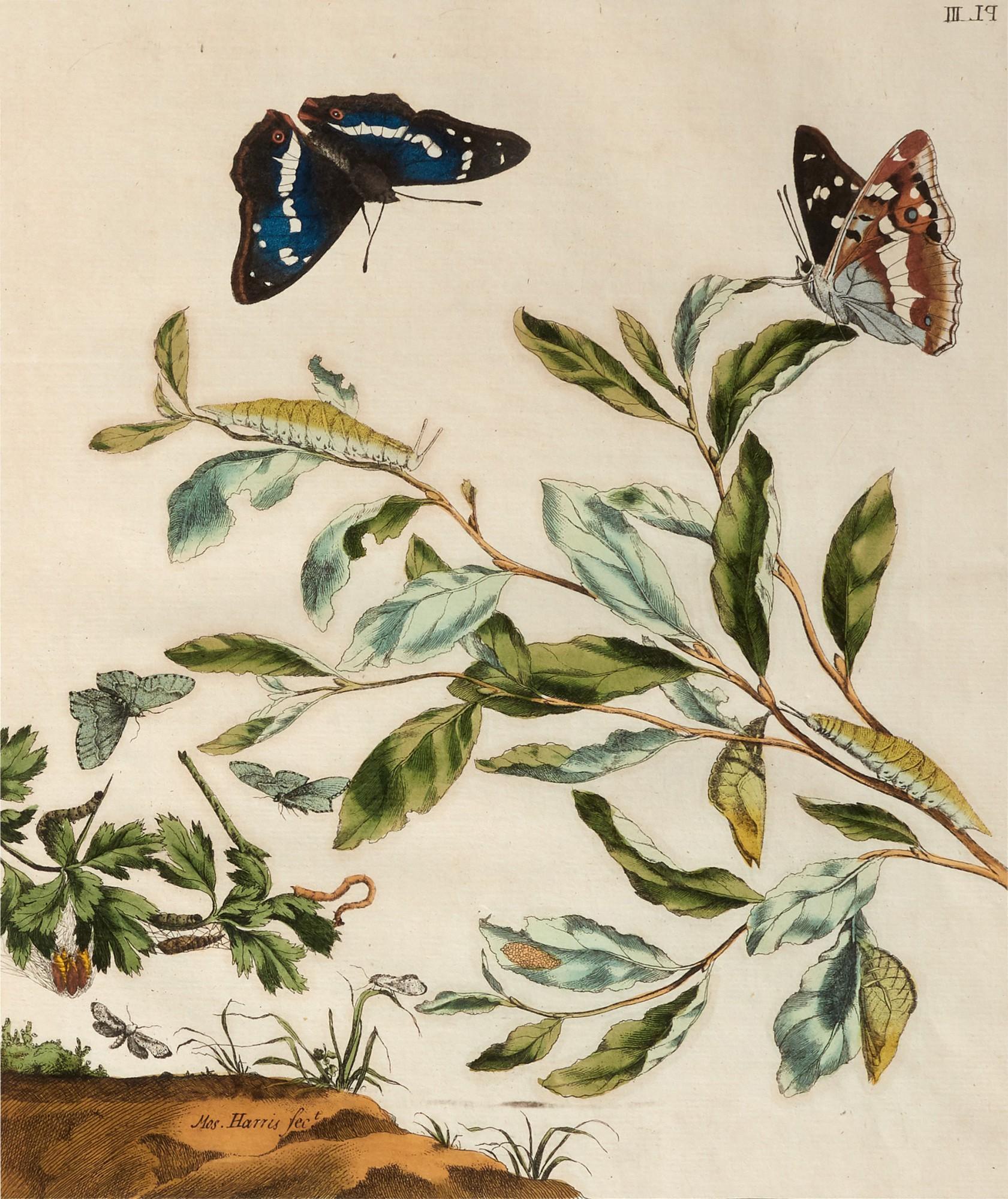 Moses Harris - The Aurelian, or natural history of English insects, London, 1766 [1773], calf