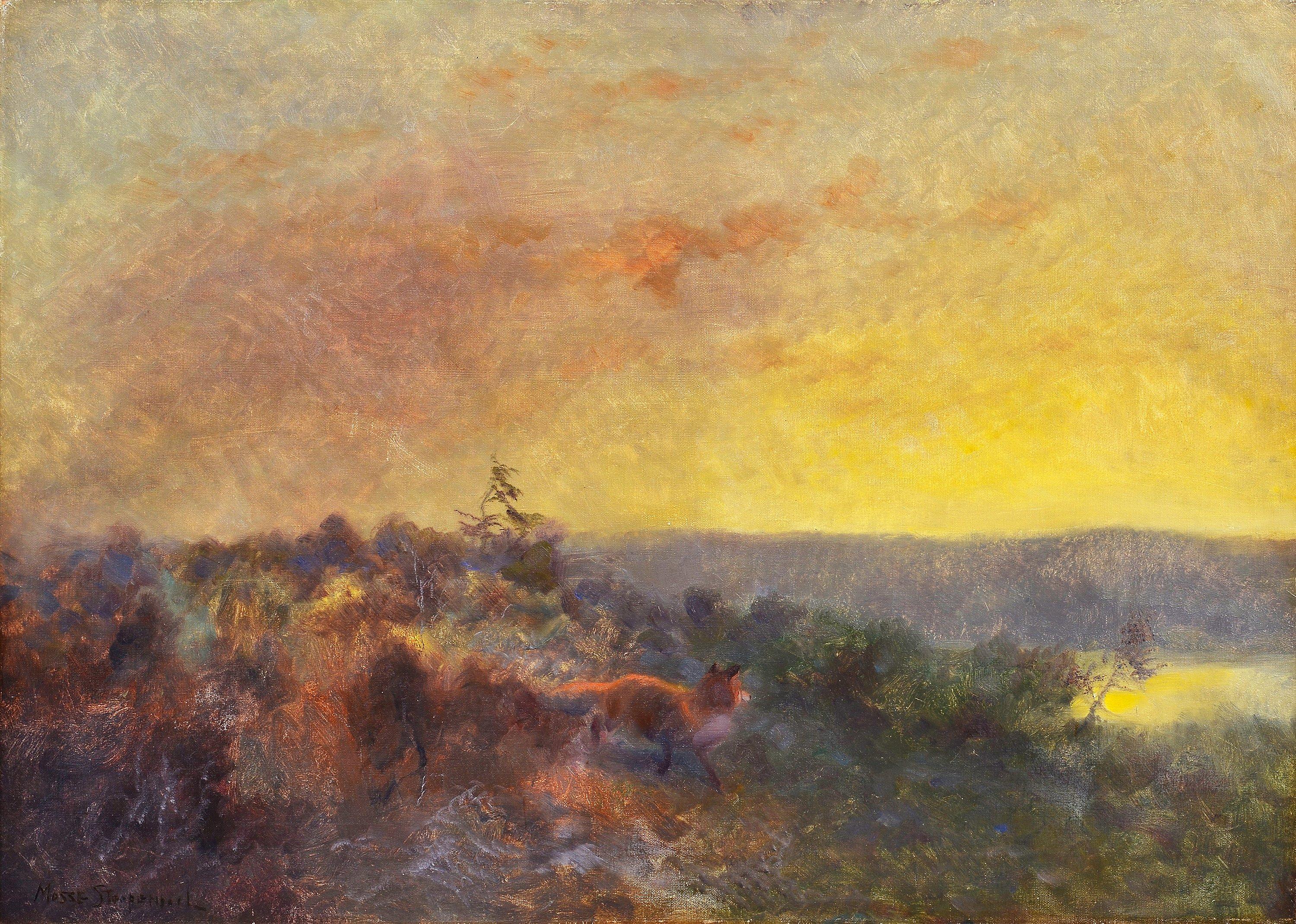 Mosse Stoopendaal - A Fox At Dusk.