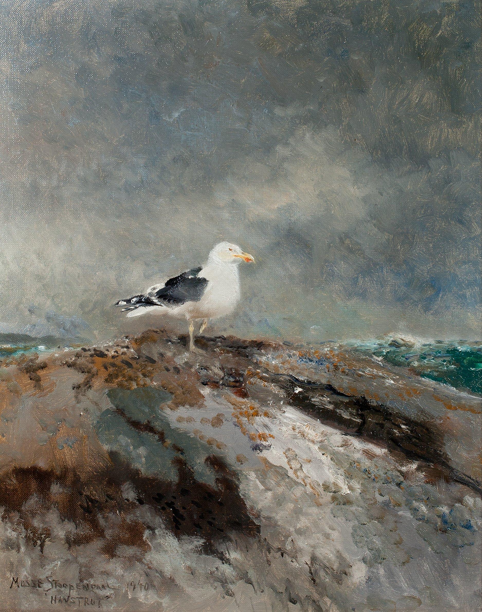Mosse Stoopendaal - Backed Gull